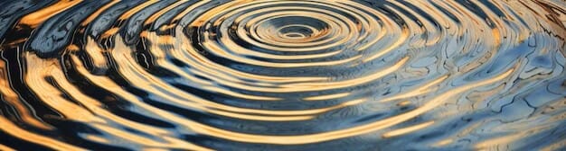 Borrowed Blessings Banner rippiling water